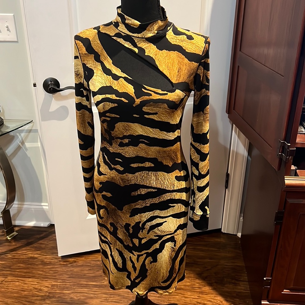 Tiger Stripped Dress